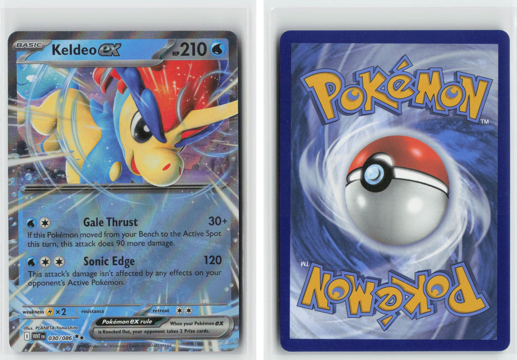 Front + Back scan