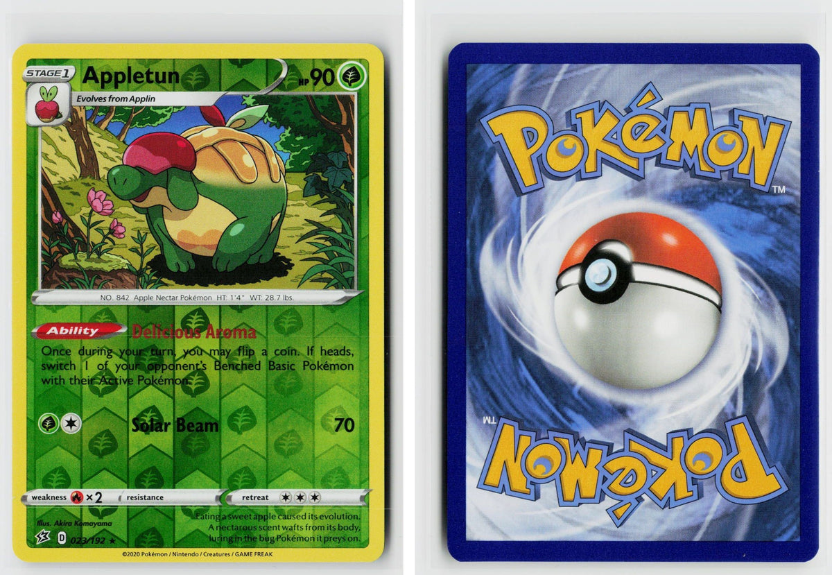 Front + Back scan