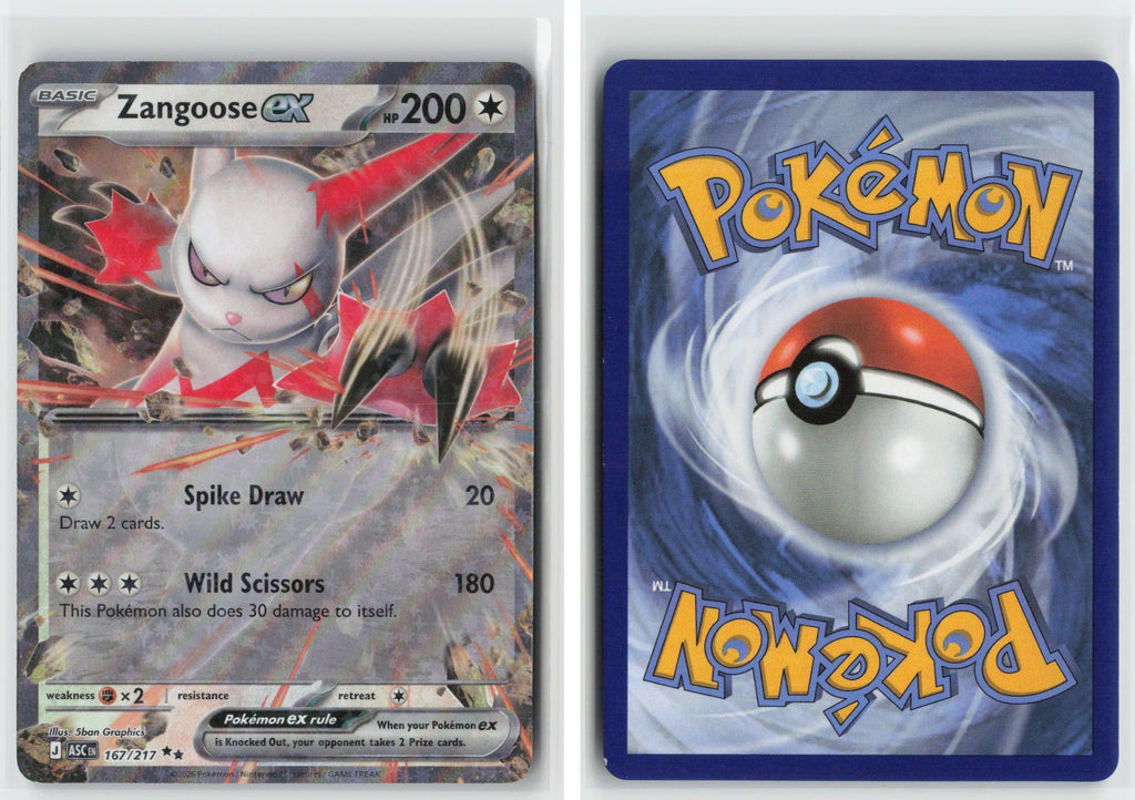 Front + Back scan