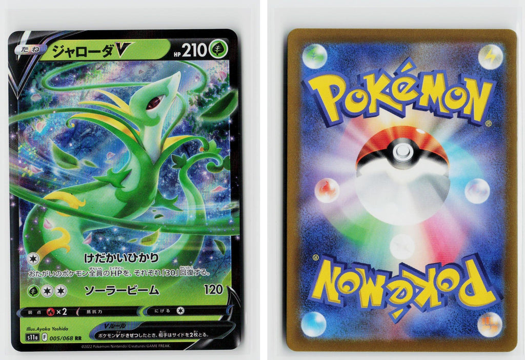 Front + Back scan