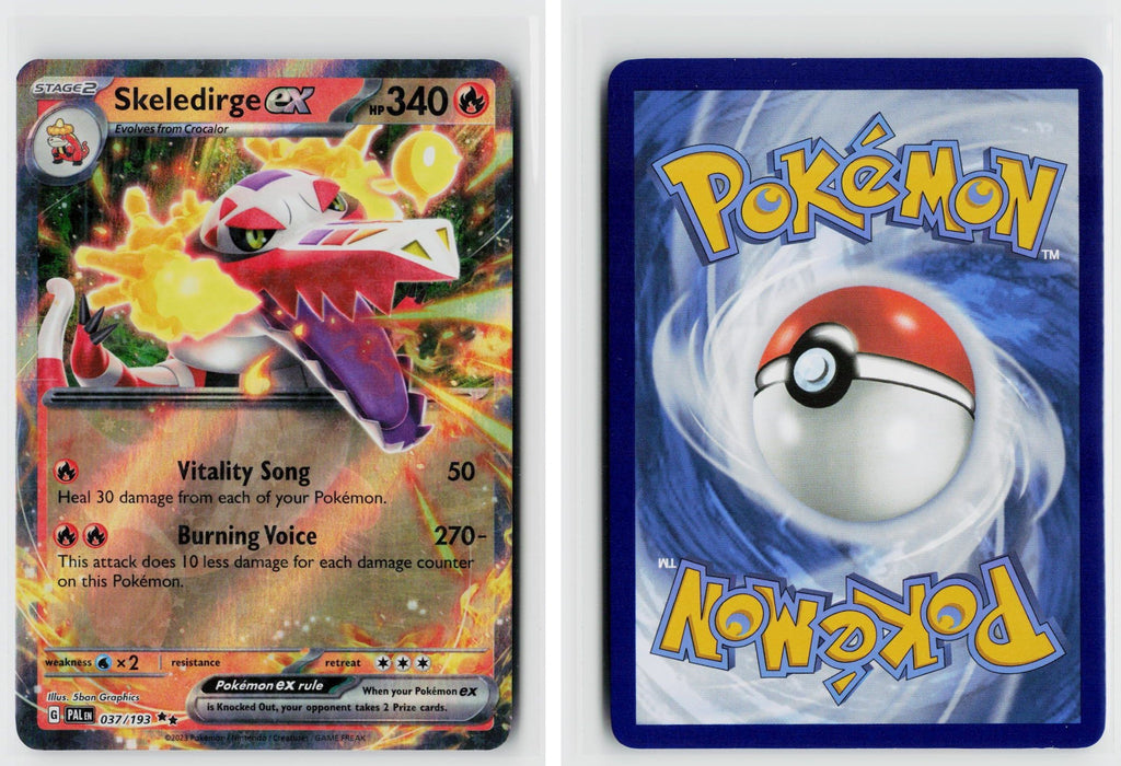 Front + Back scan