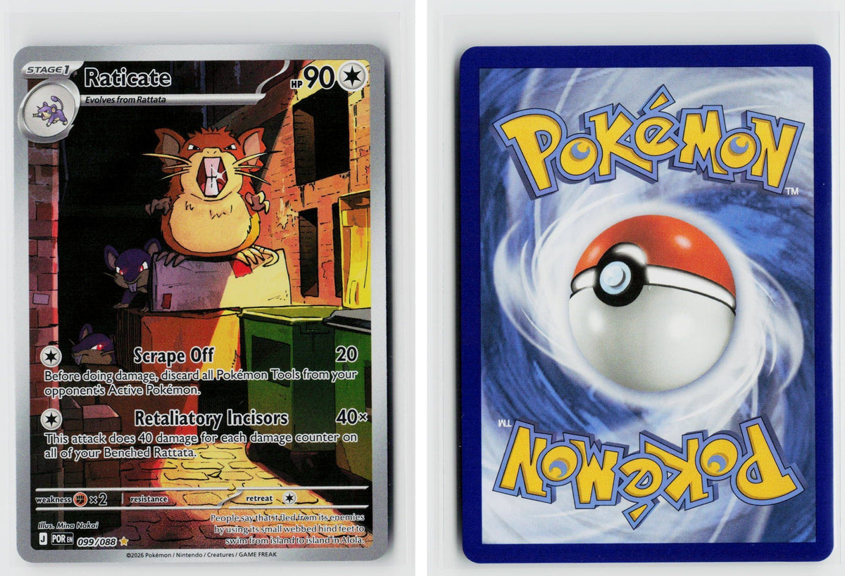 Front + Back scan