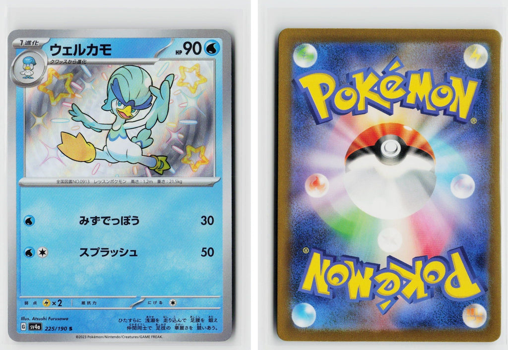 Front + Back scan