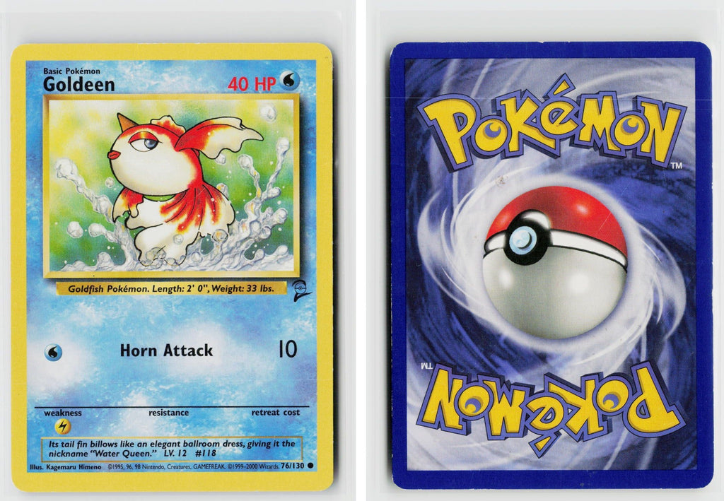 Front + Back scan