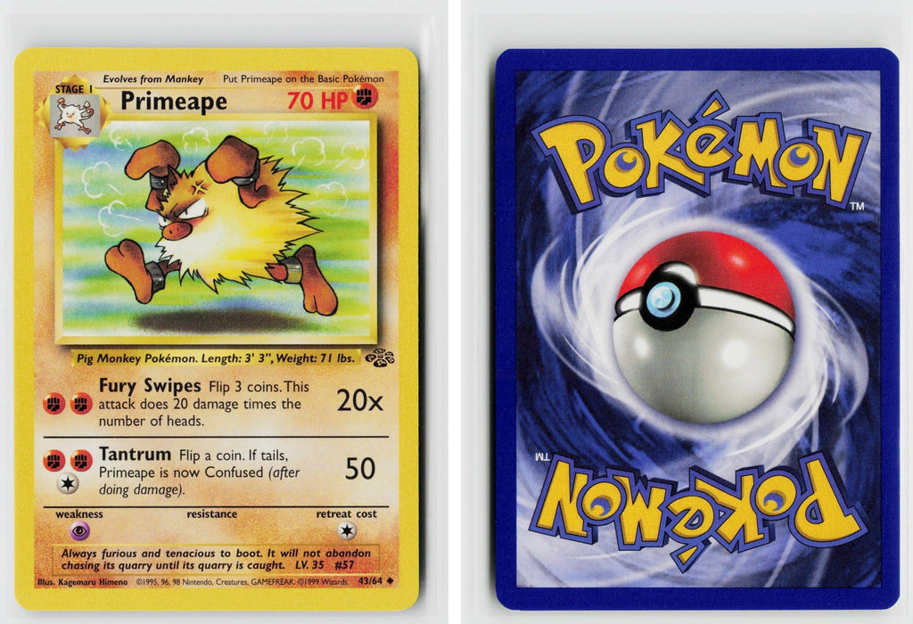 Front + Back scan
