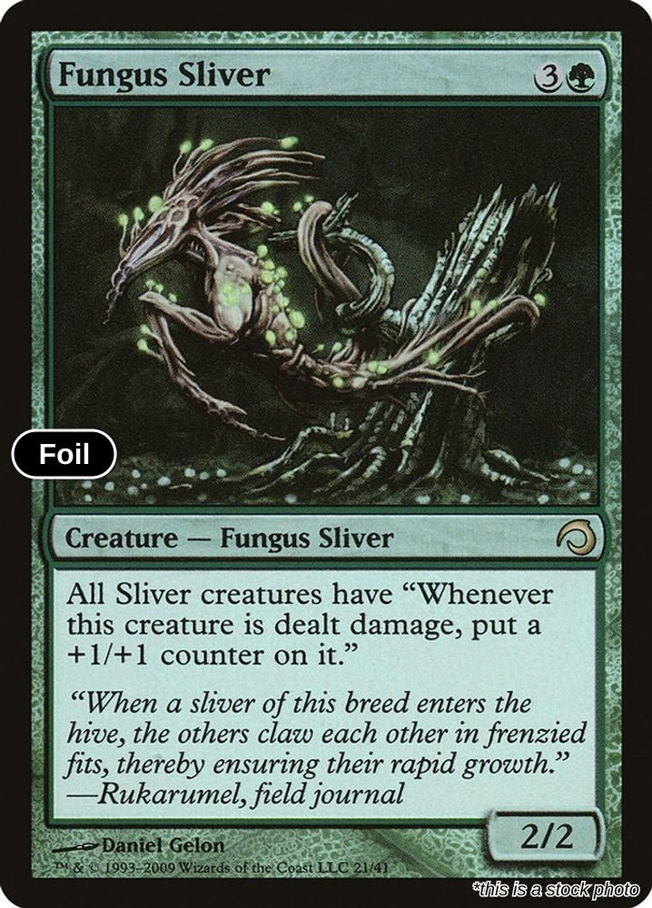 Fungus Sliver