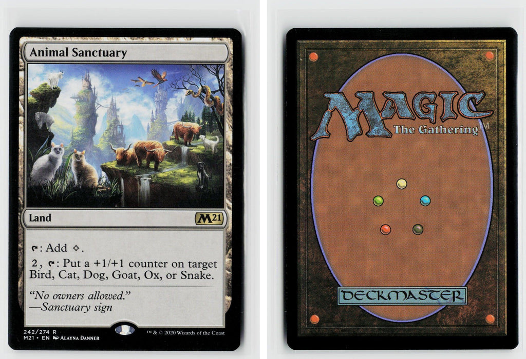 Front + Back scan