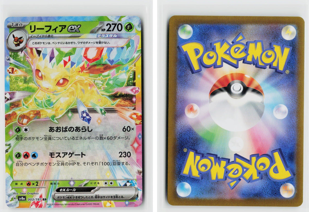 Front + Back scan