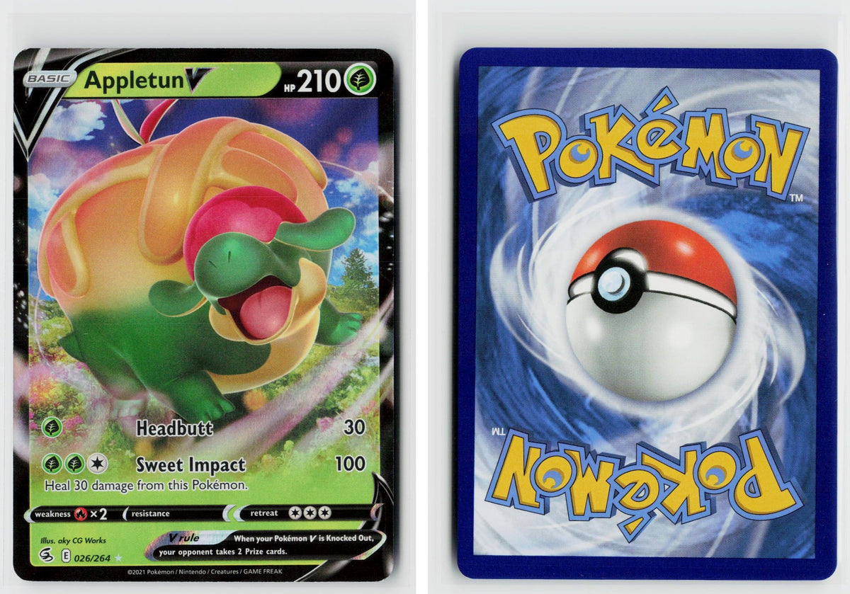 Front + Back scan