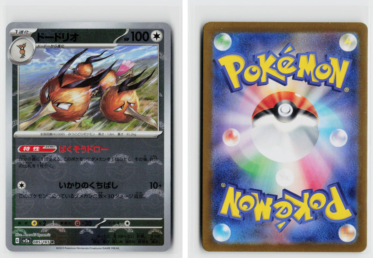 Front + Back scan