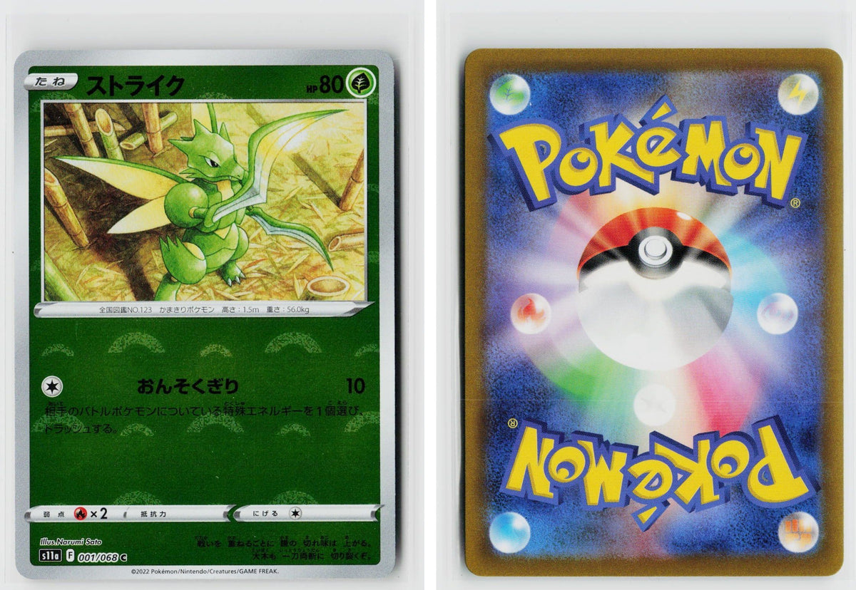 Front + Back scan