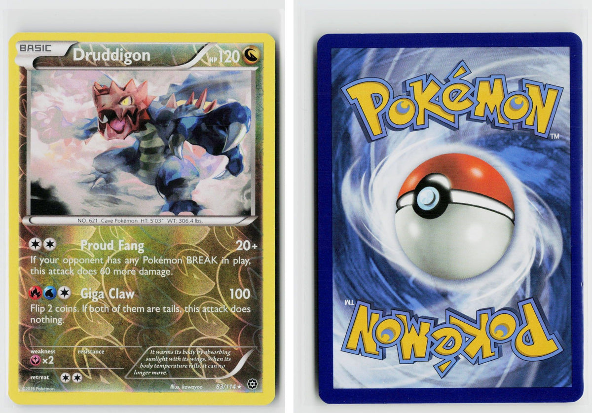 Front + Back scan