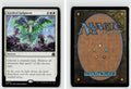 Front + Back scan | Near Mint / MTG-75 / Normal