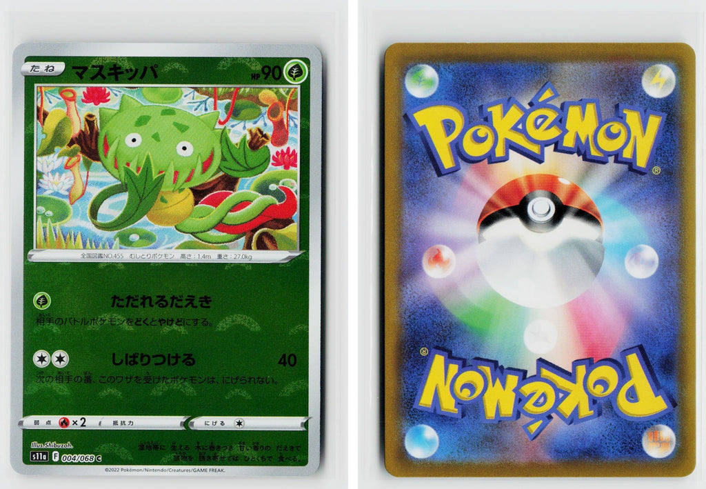 Front + Back scan