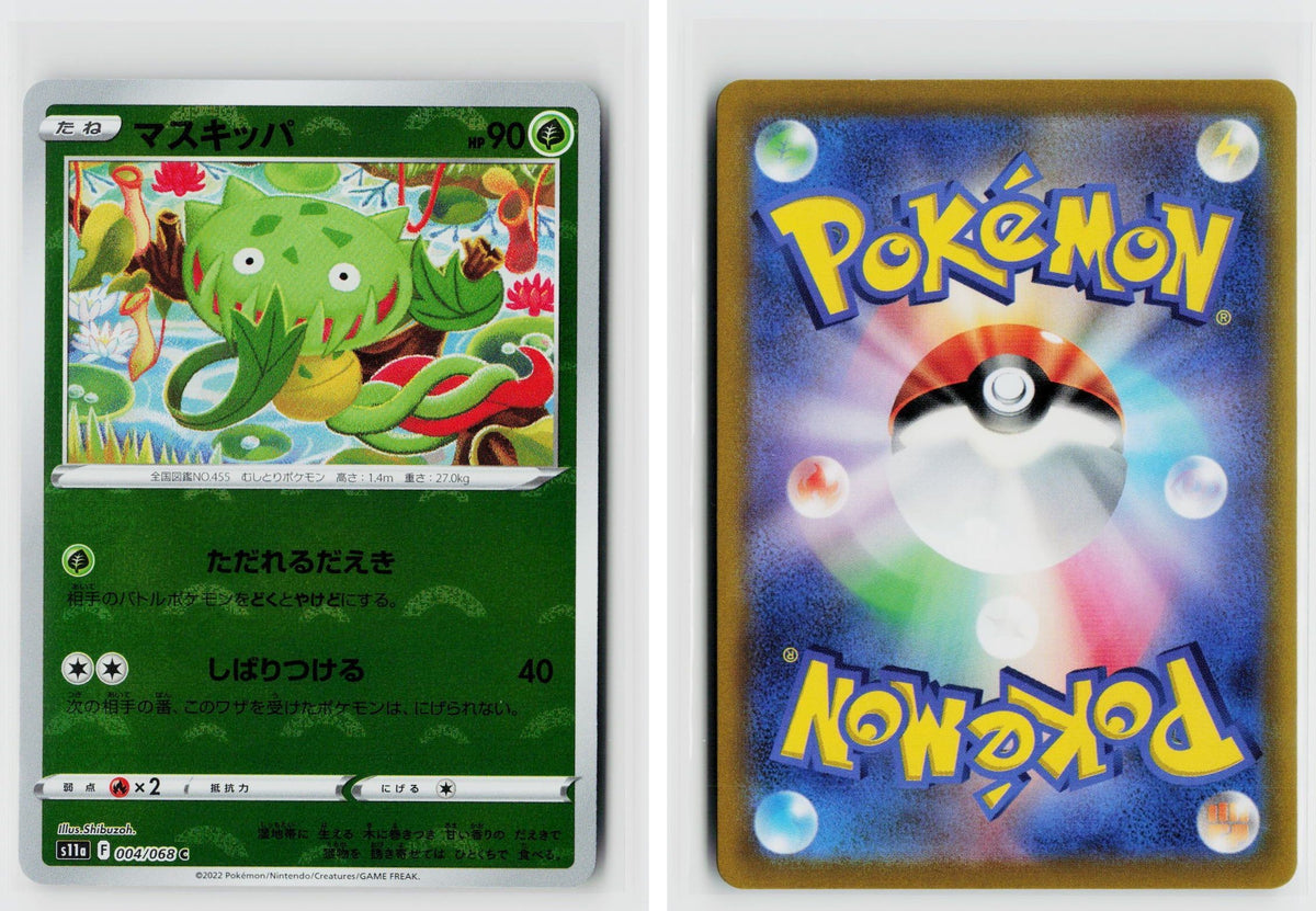 Front + Back scan