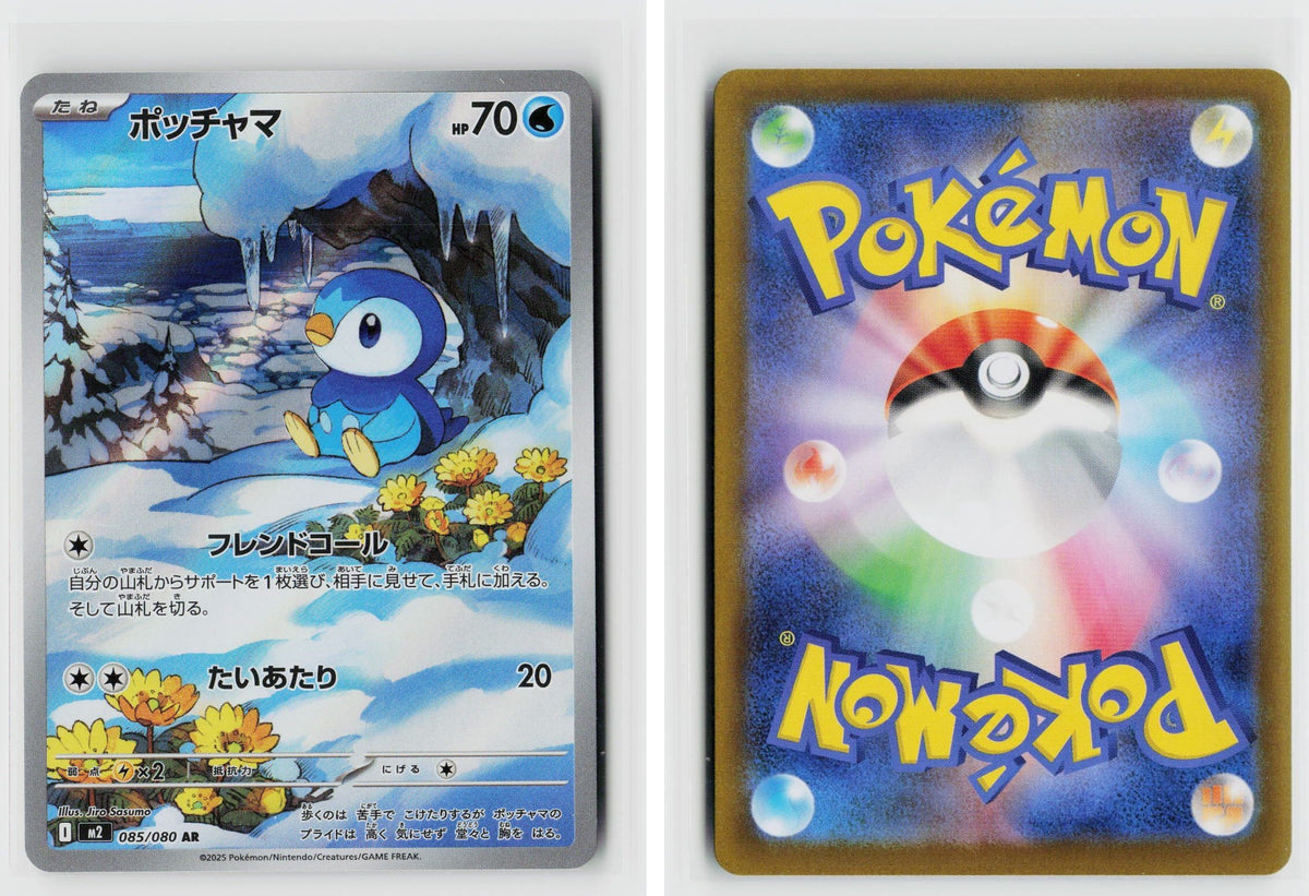 Front + Back scan