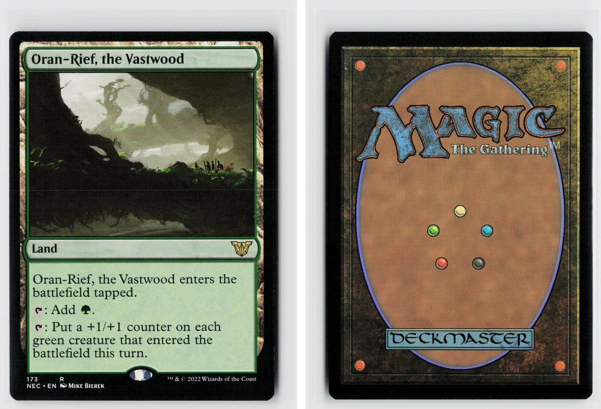 Front + Back scan