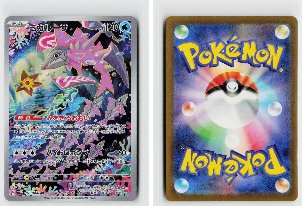 Front + Back scan