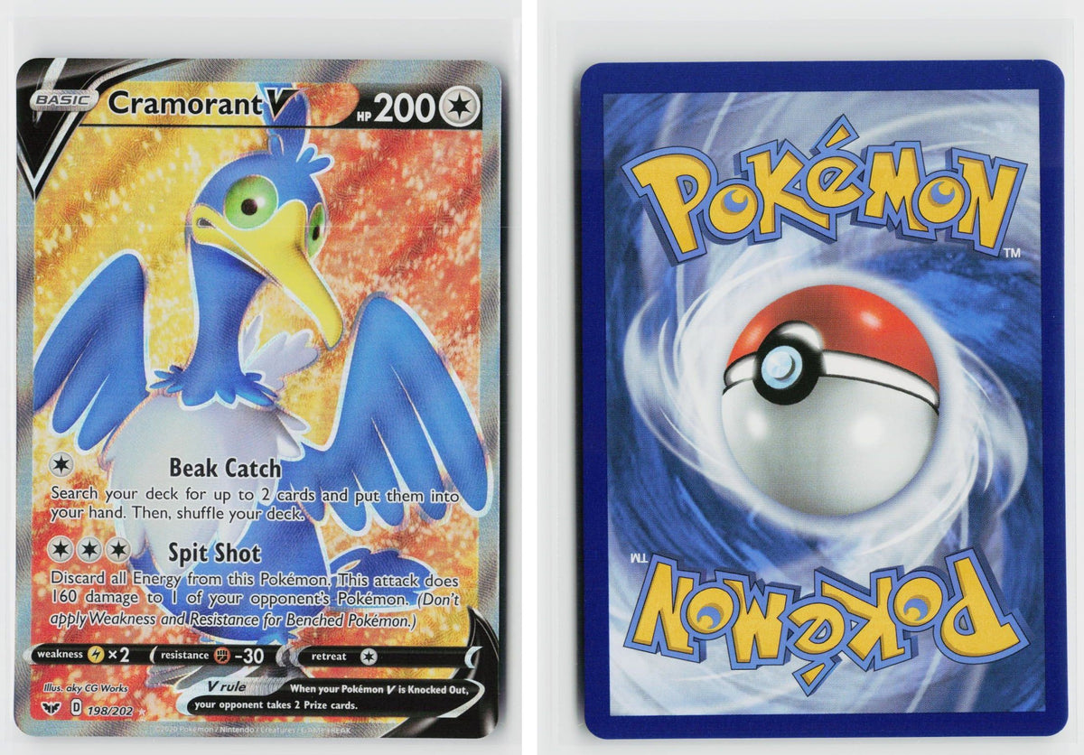 Front + Back scan