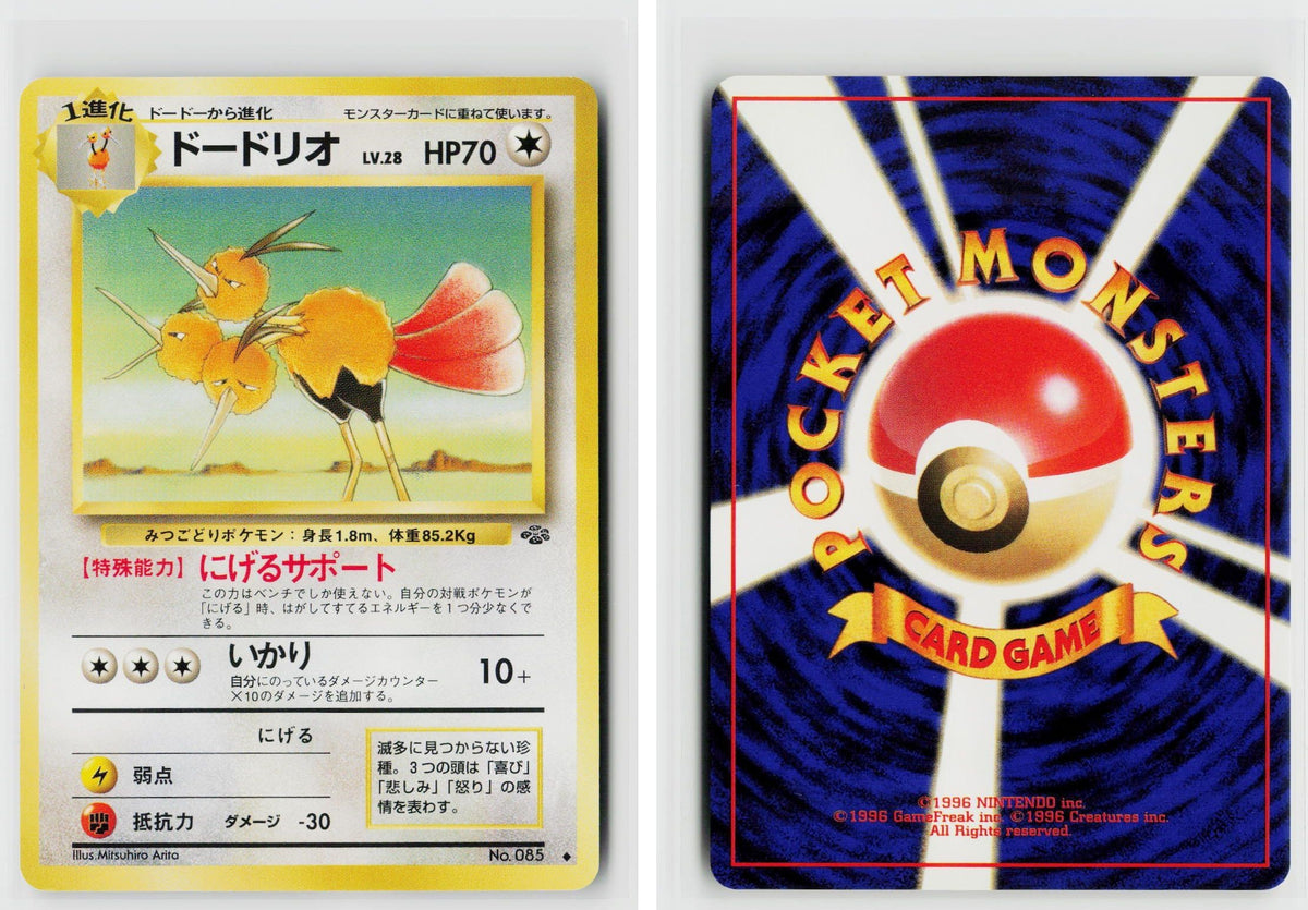 Front + Back scan