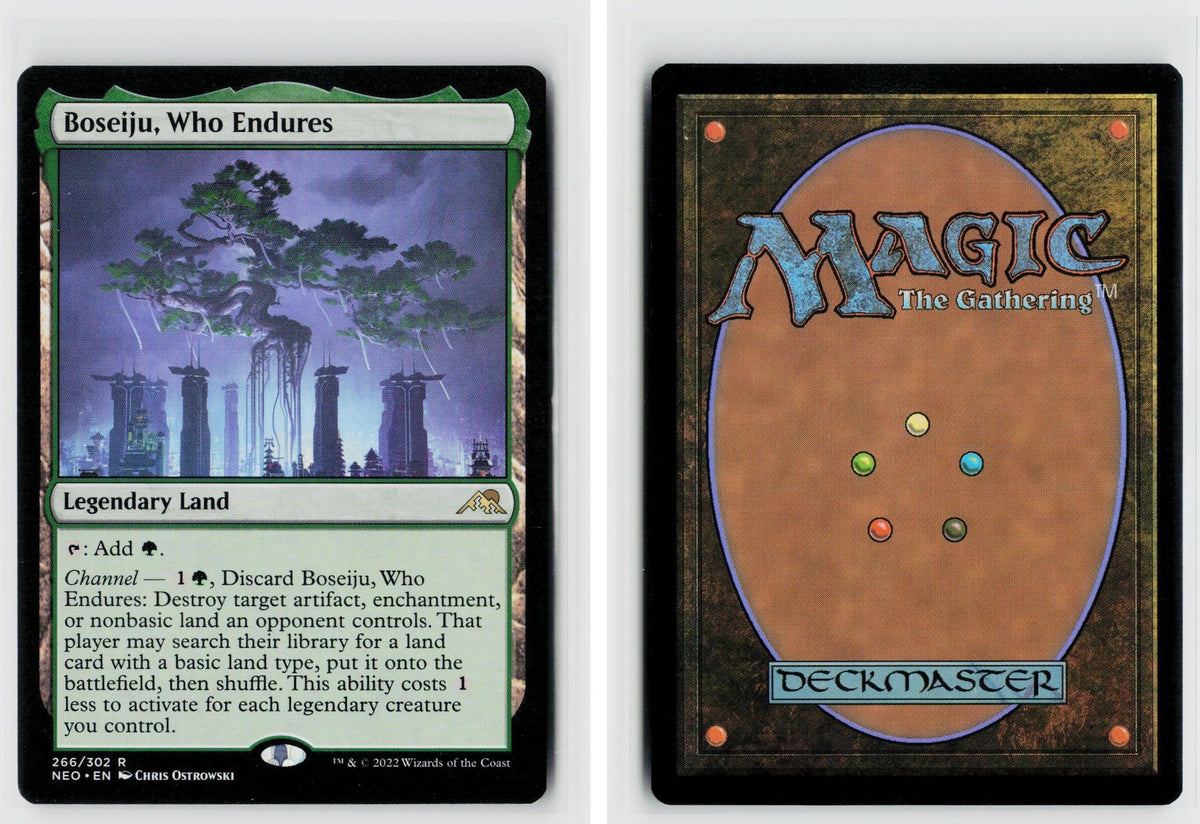 Front + Back scan