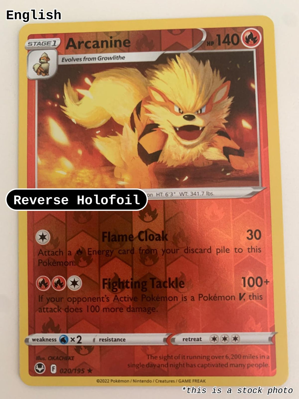 Arcanine