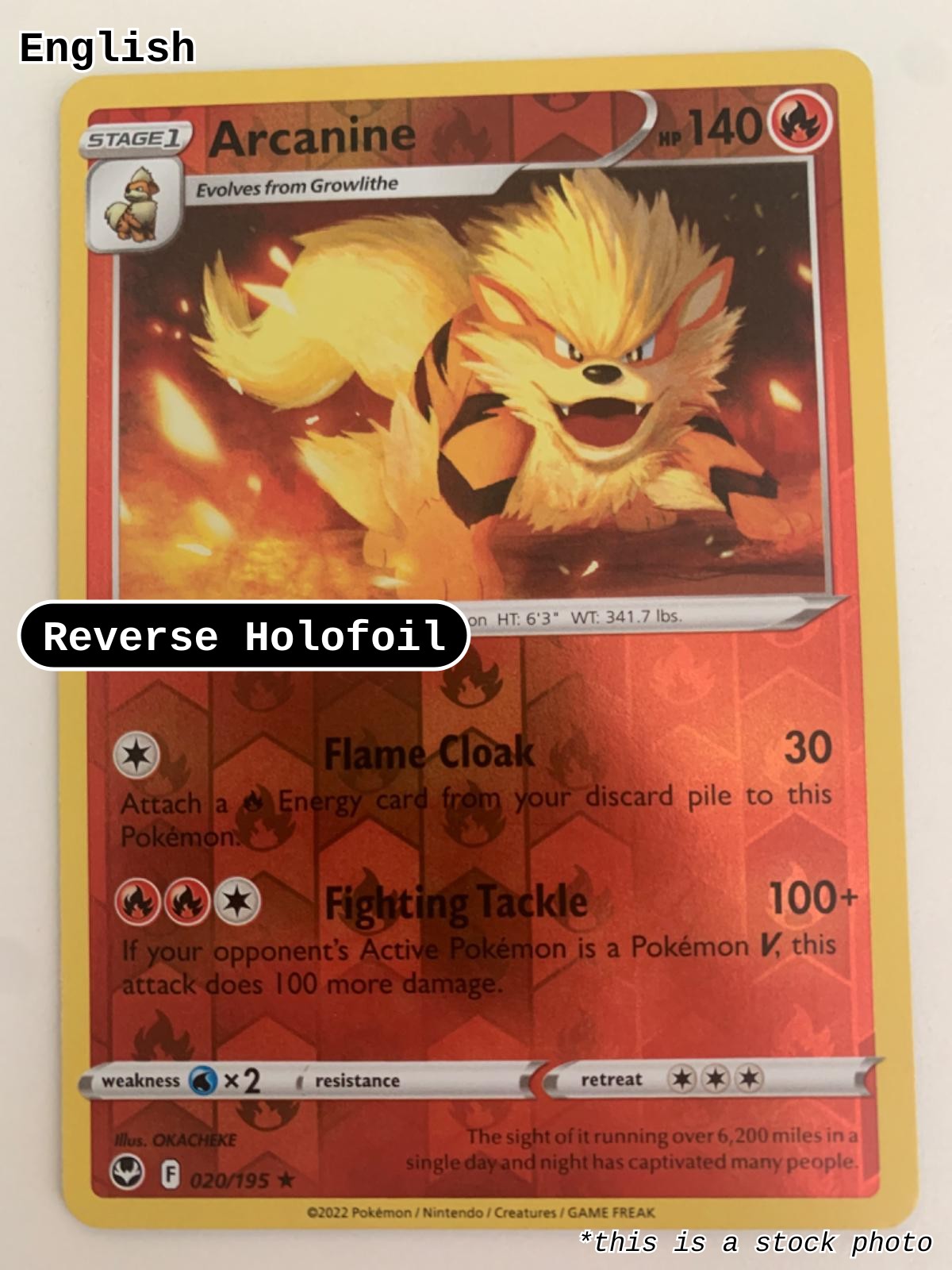 Arcanine
