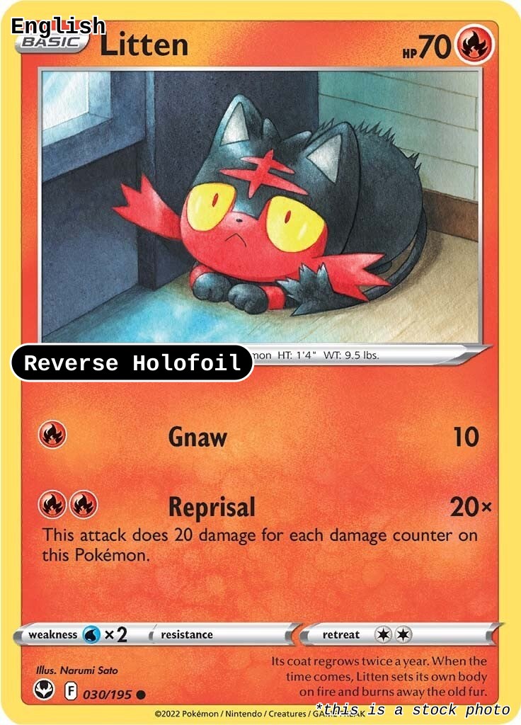 Litten