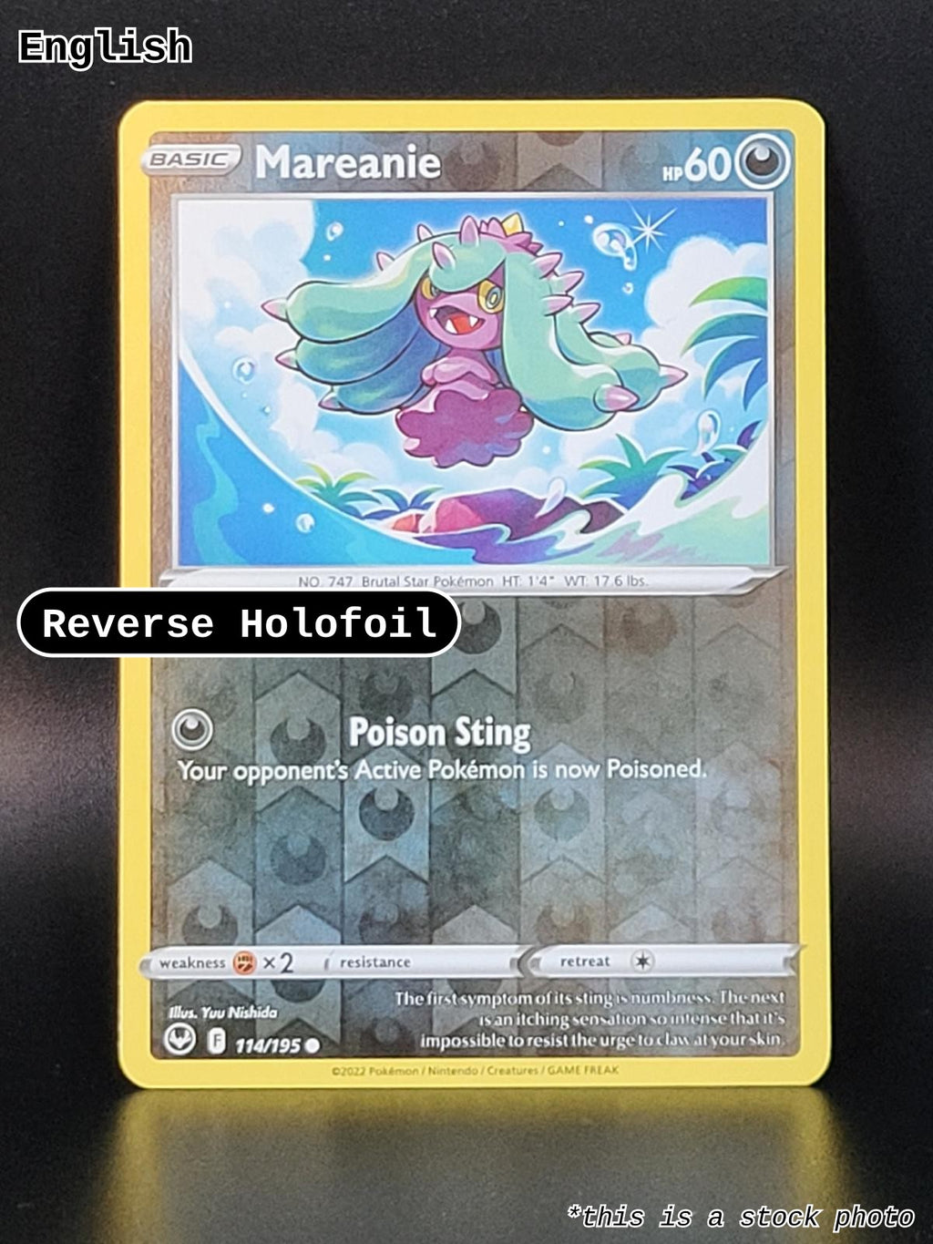 Mareanie