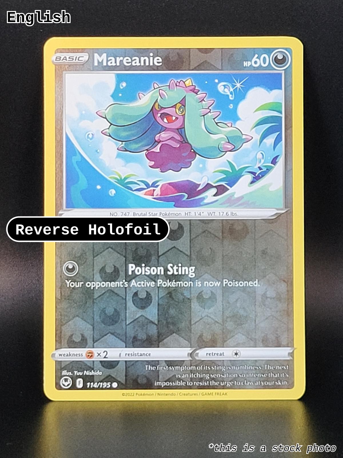 Mareanie