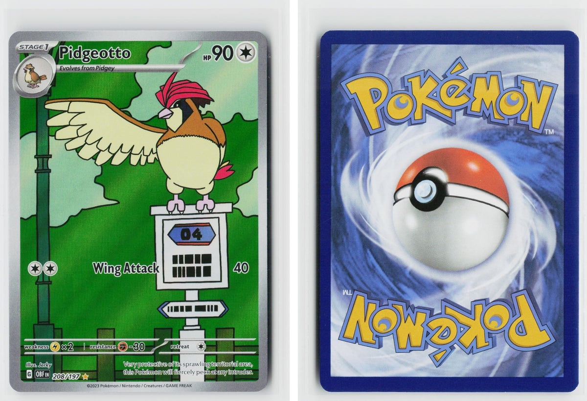 Front + Back scan