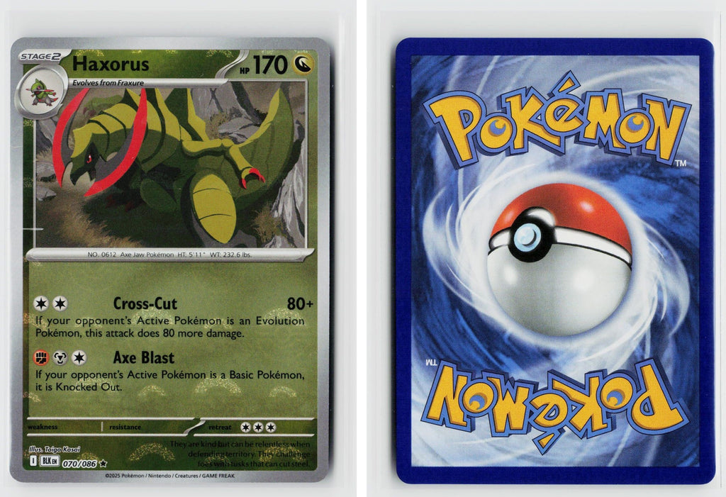 Front + Back scan