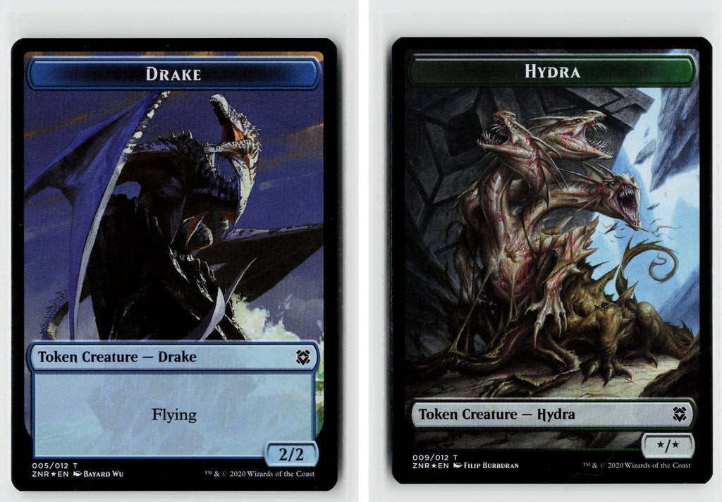 Front + Back scan