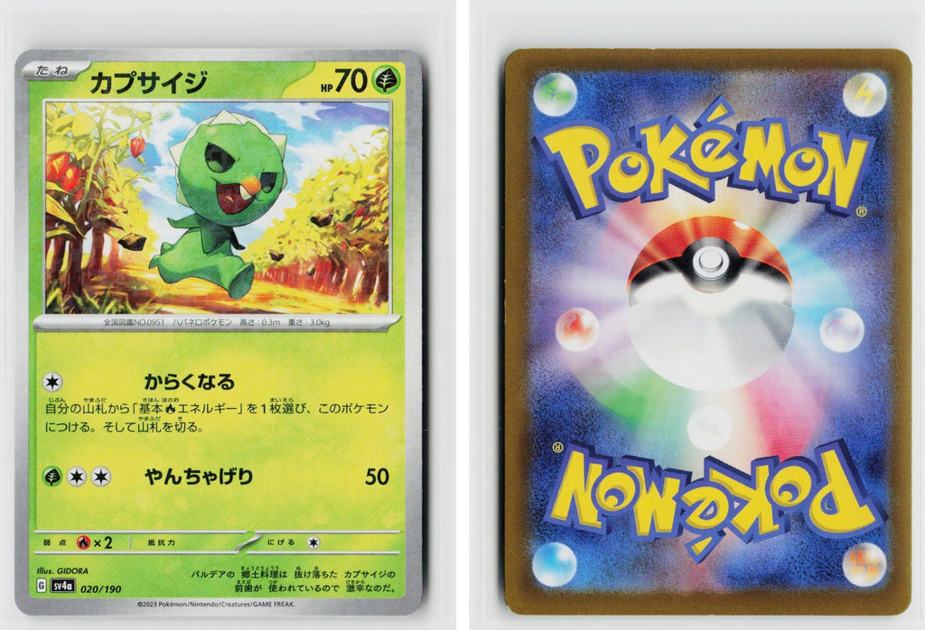 Front + Back scan