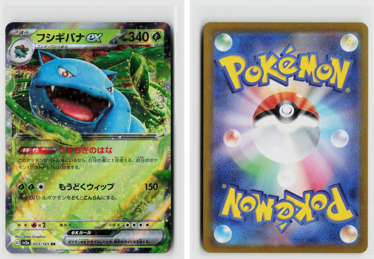 Front + Back scan