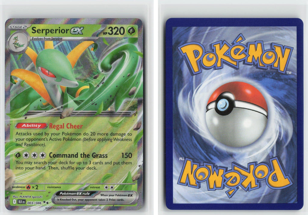 Front + Back scan