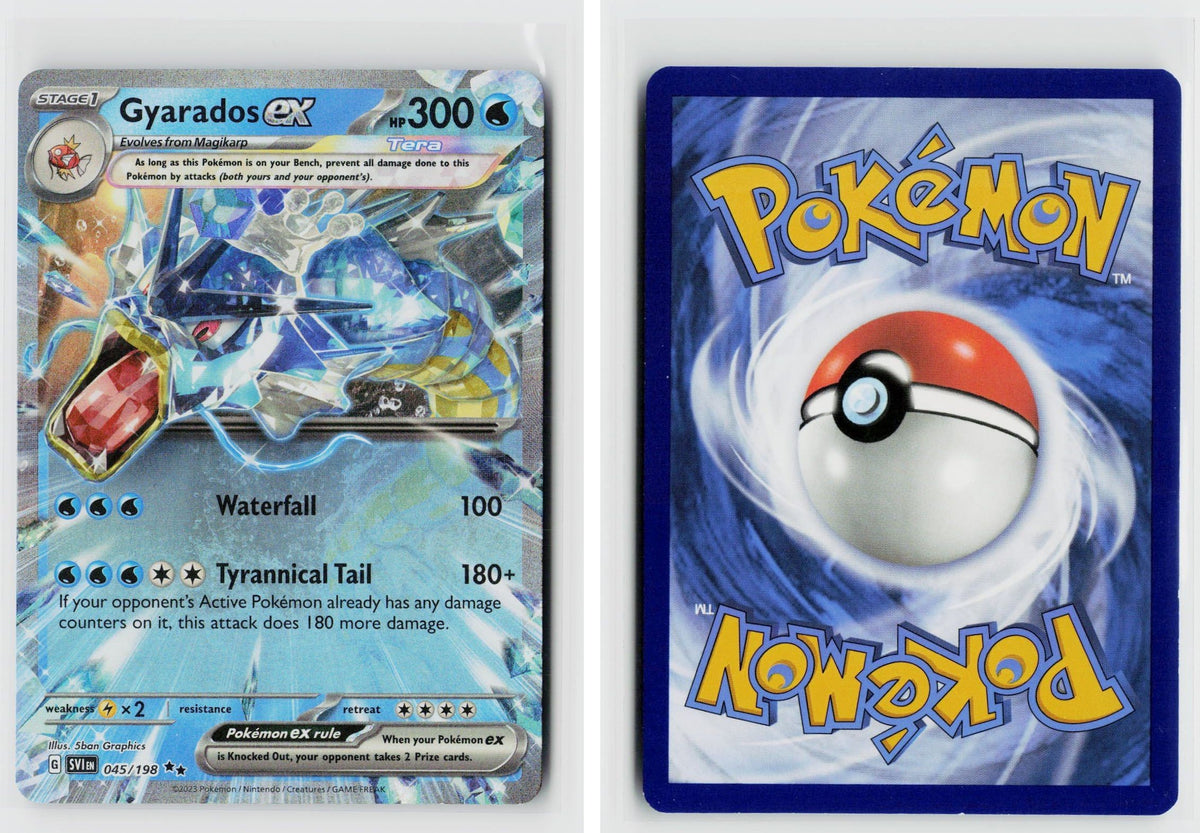 Front + Back scan