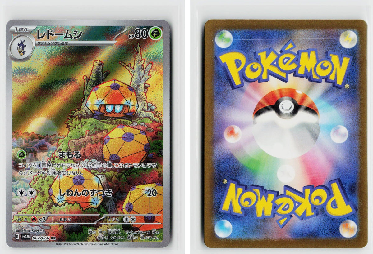 Front + Back scan