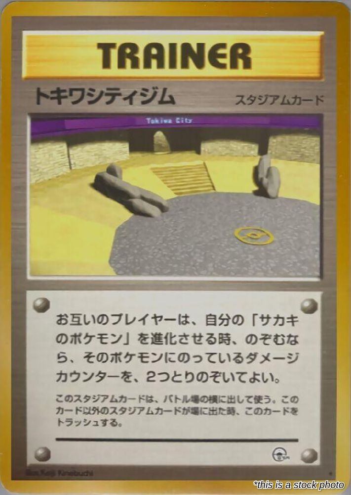 Viridian City Gym