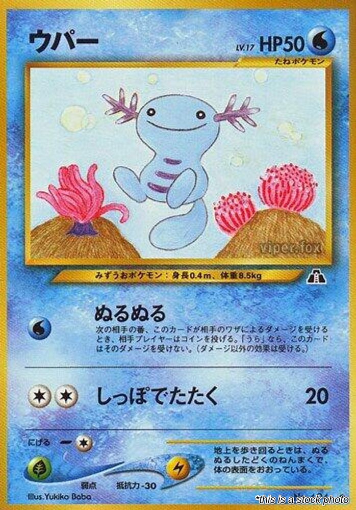 Wooper