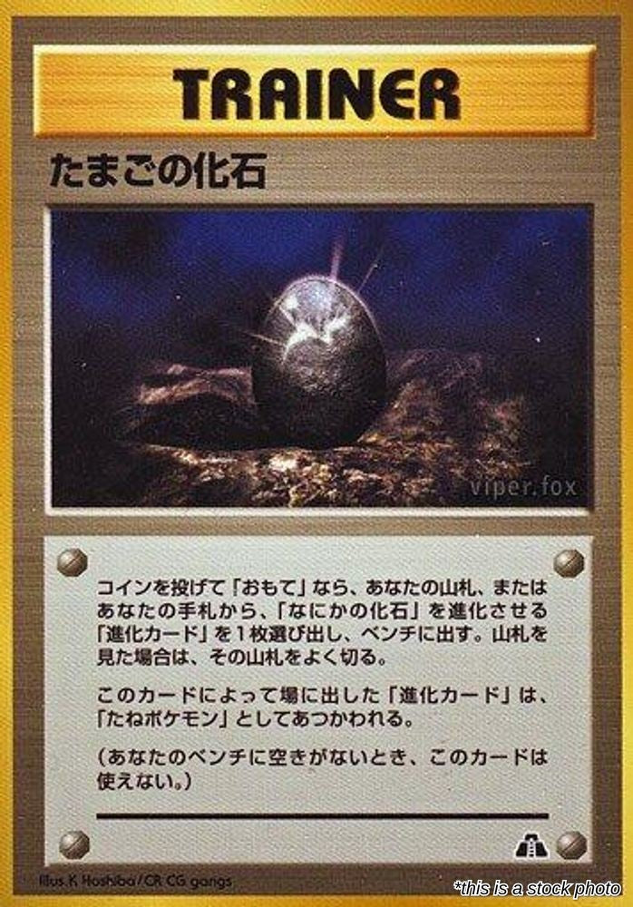 Fossil Egg
