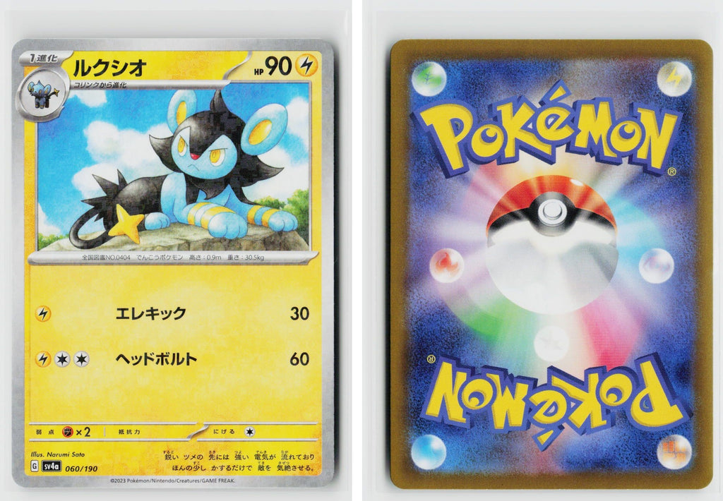 Front + Back scan