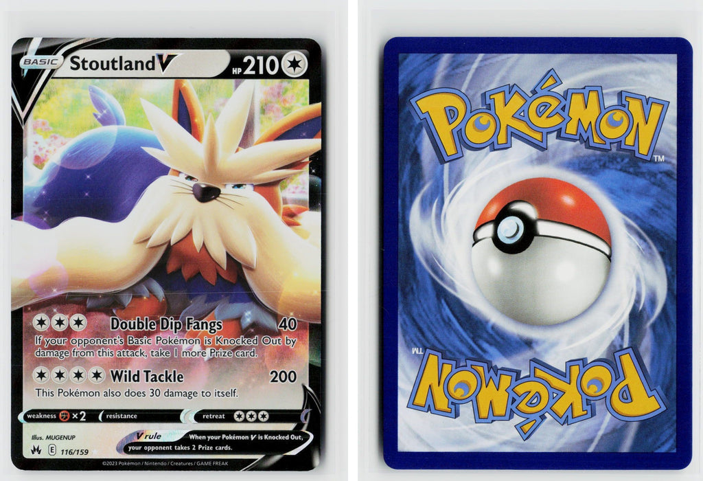 Front + Back scan