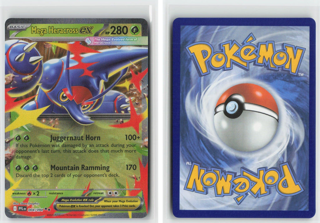Front + Back scan