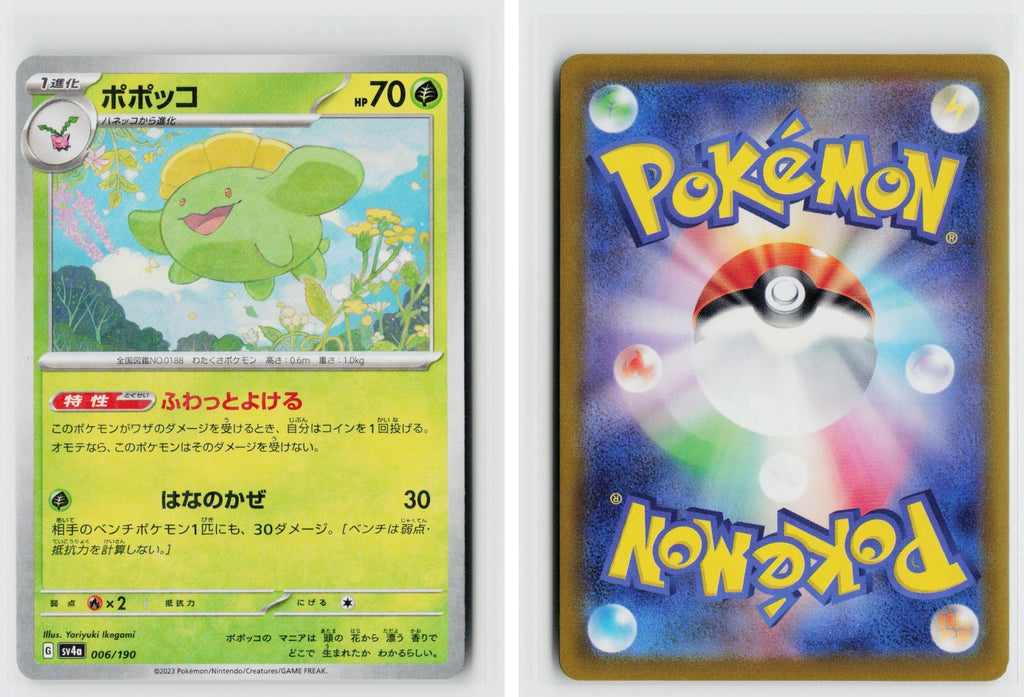 Front + Back scan