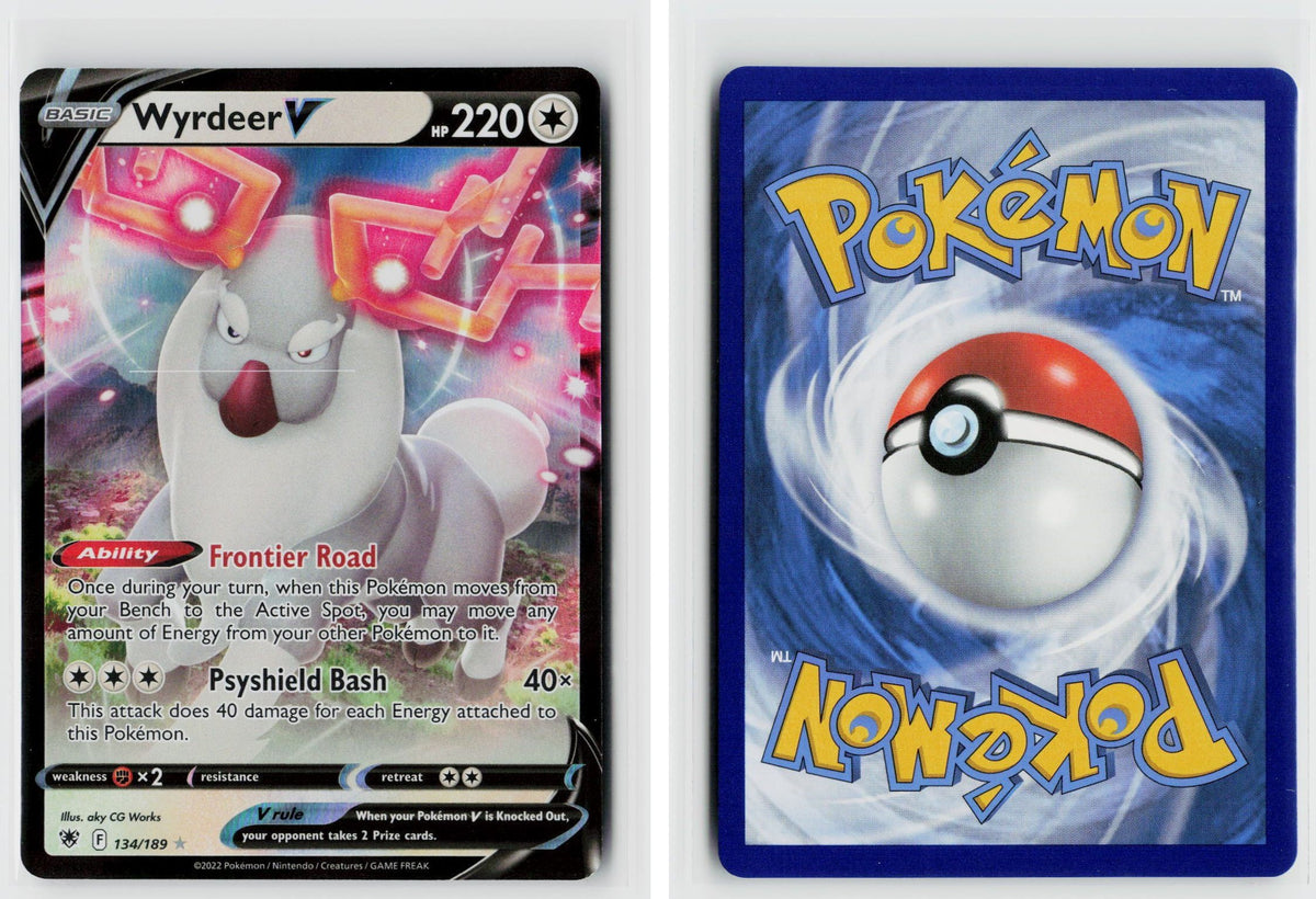 Front + Back scan