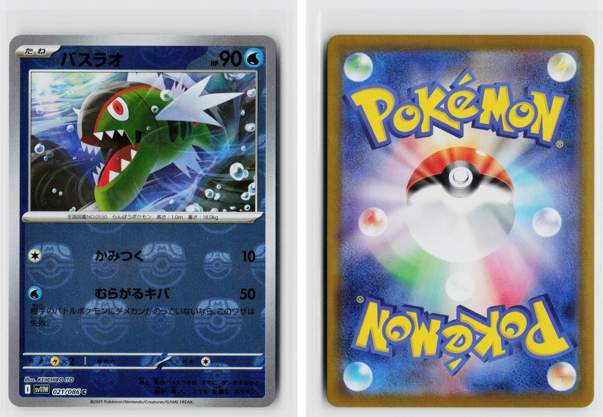 Front + Back scan
