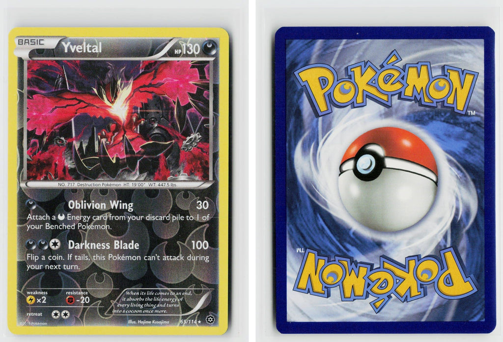 Front + Back scan