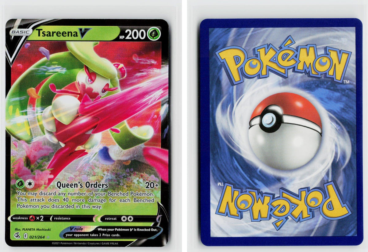 Front + Back scan