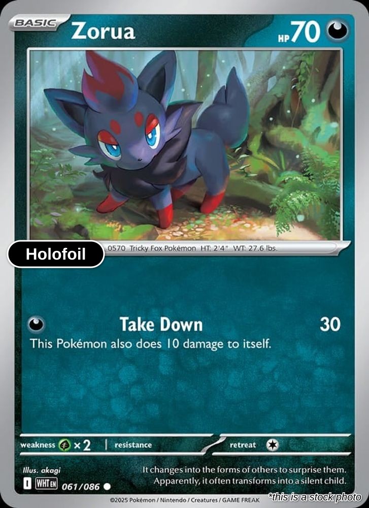 Zorua (Poke Ball Pattern)
